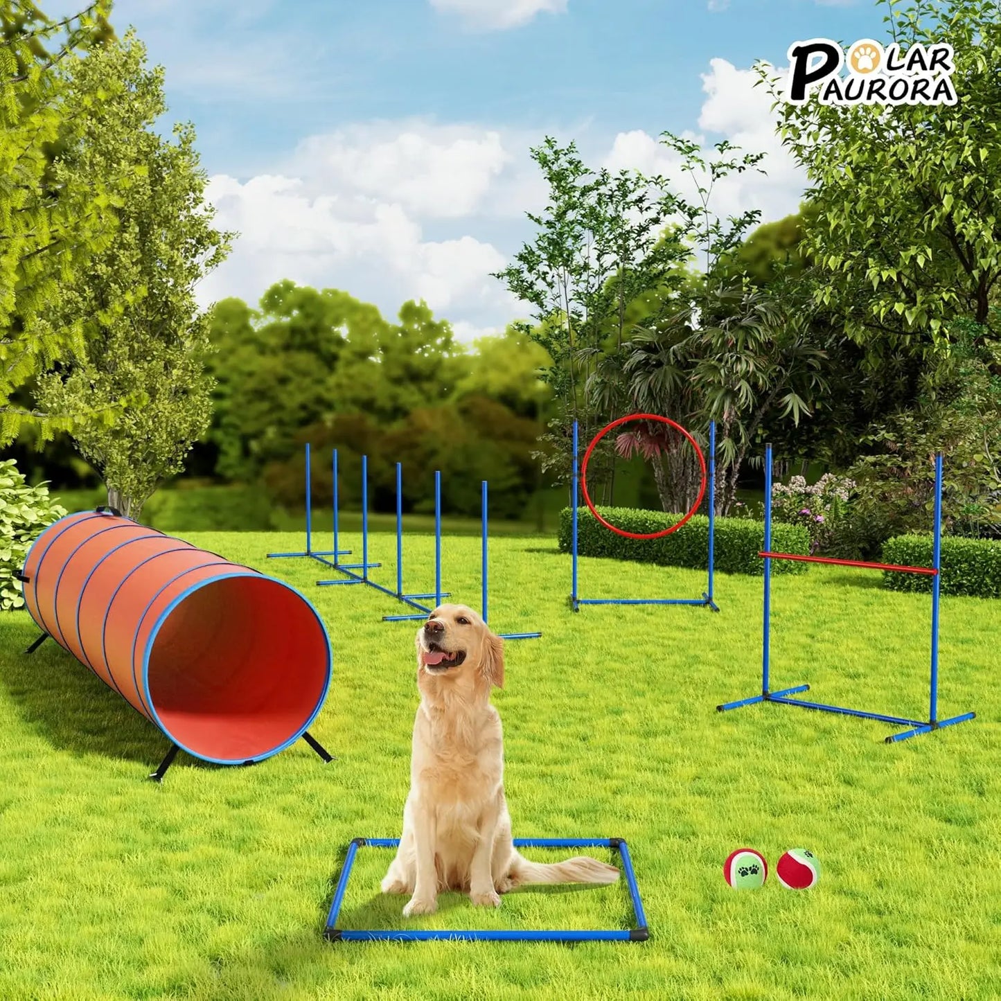 Dog Agility Course Backyard Set Dog Agility Equipment Obstacle Course Backyard Includes Adjustable High Hurdle,6 Weave Poles,
