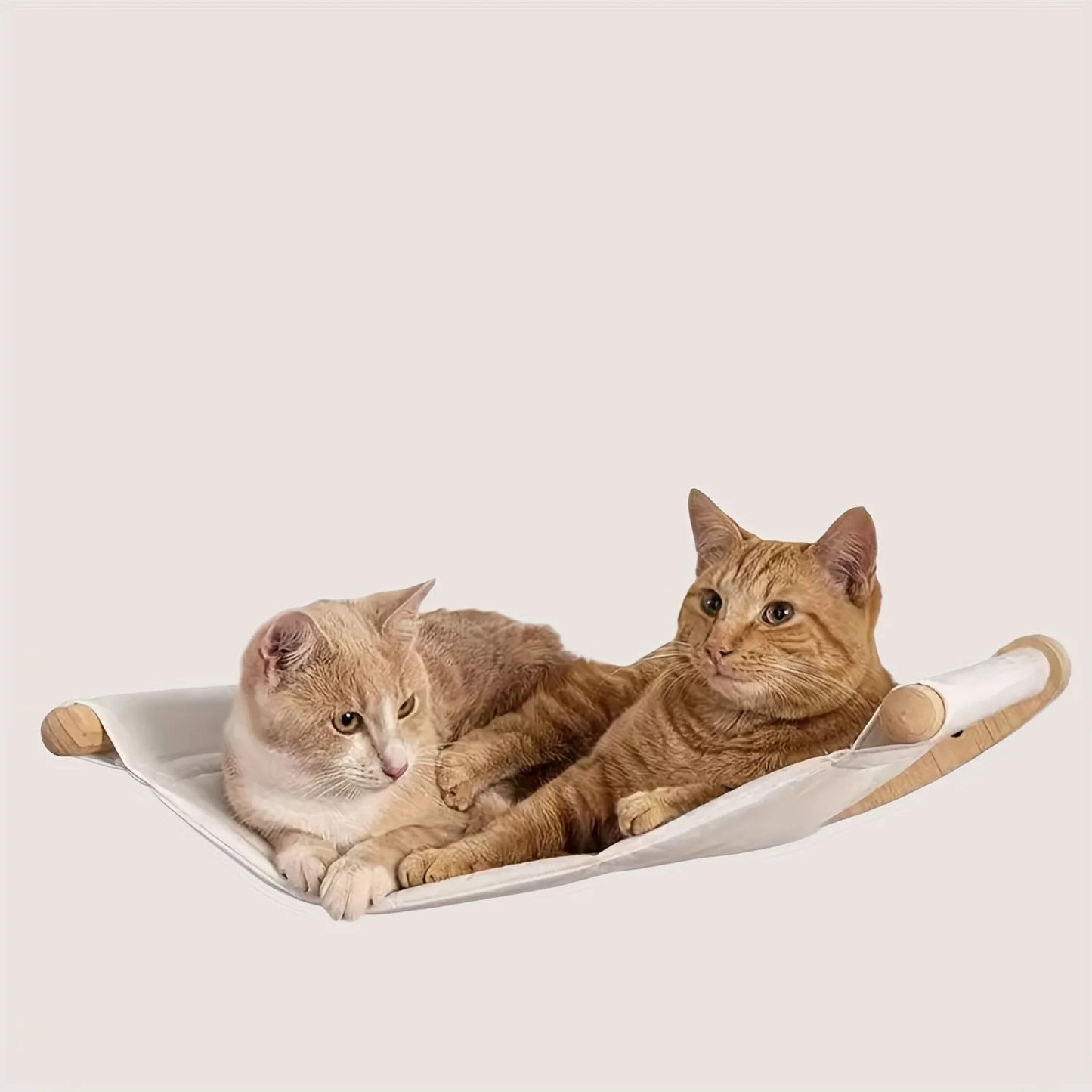 Cat Hammock Wall Mounted Cat Shelf With Two Steps For Cats