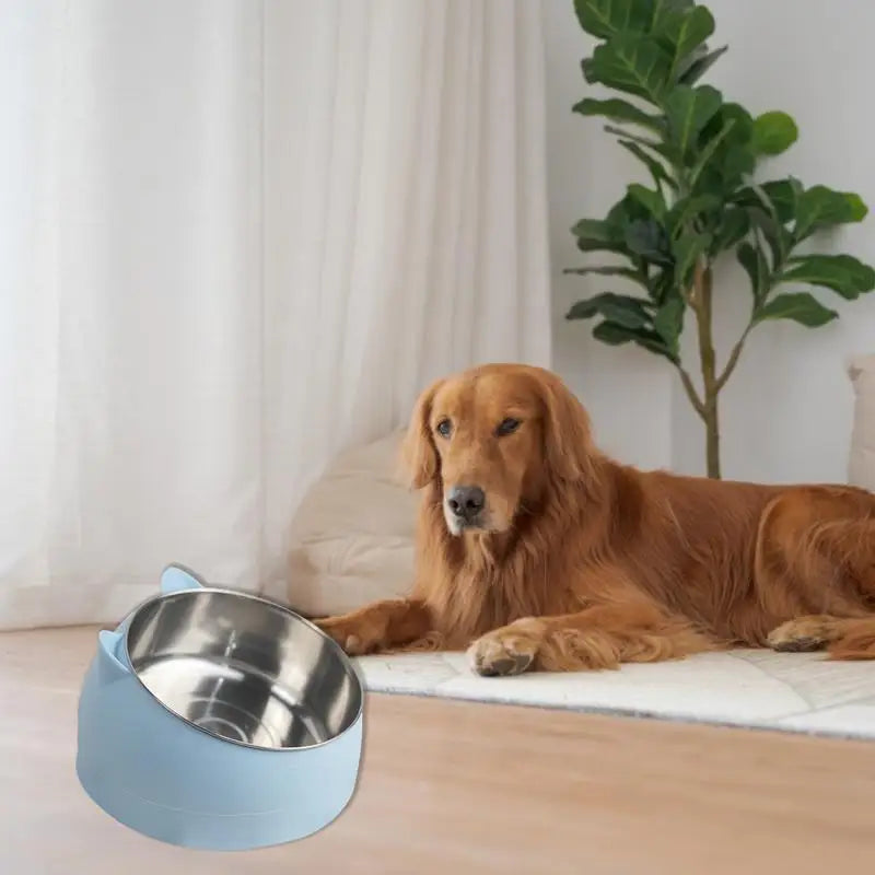 Heat Pet Bowl Food Winter Heated Feed Cage Bowl Thermostat