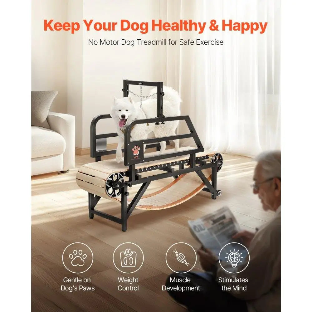 Heavy Duty Dog Treadmill for medium Dogs Indoor Pet Exercise Machine Adjustable for Home Use