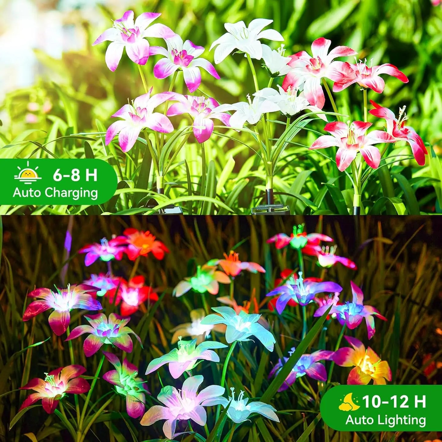 Upgraded Solar Lights 4-Pack | 24 RGB Blooming Lily + 7-Color Flower Lights | Yard/Patio Decor Gift