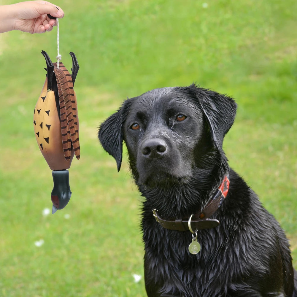 Multipurpose Pet Dead Fowl Fetch Toy for Dog Training