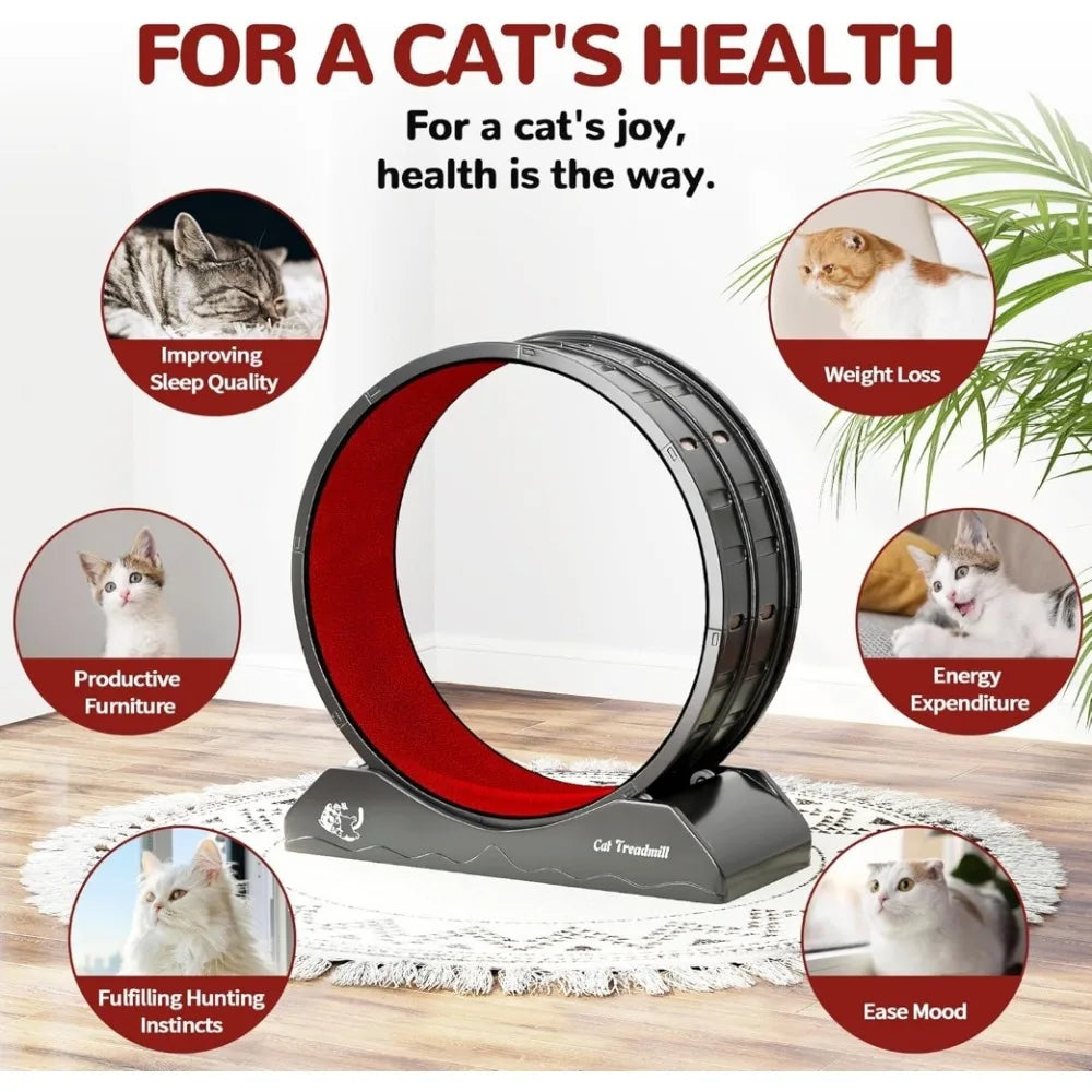 Cat Exercise Wheel Cat Treadmill with Locking Mechanism