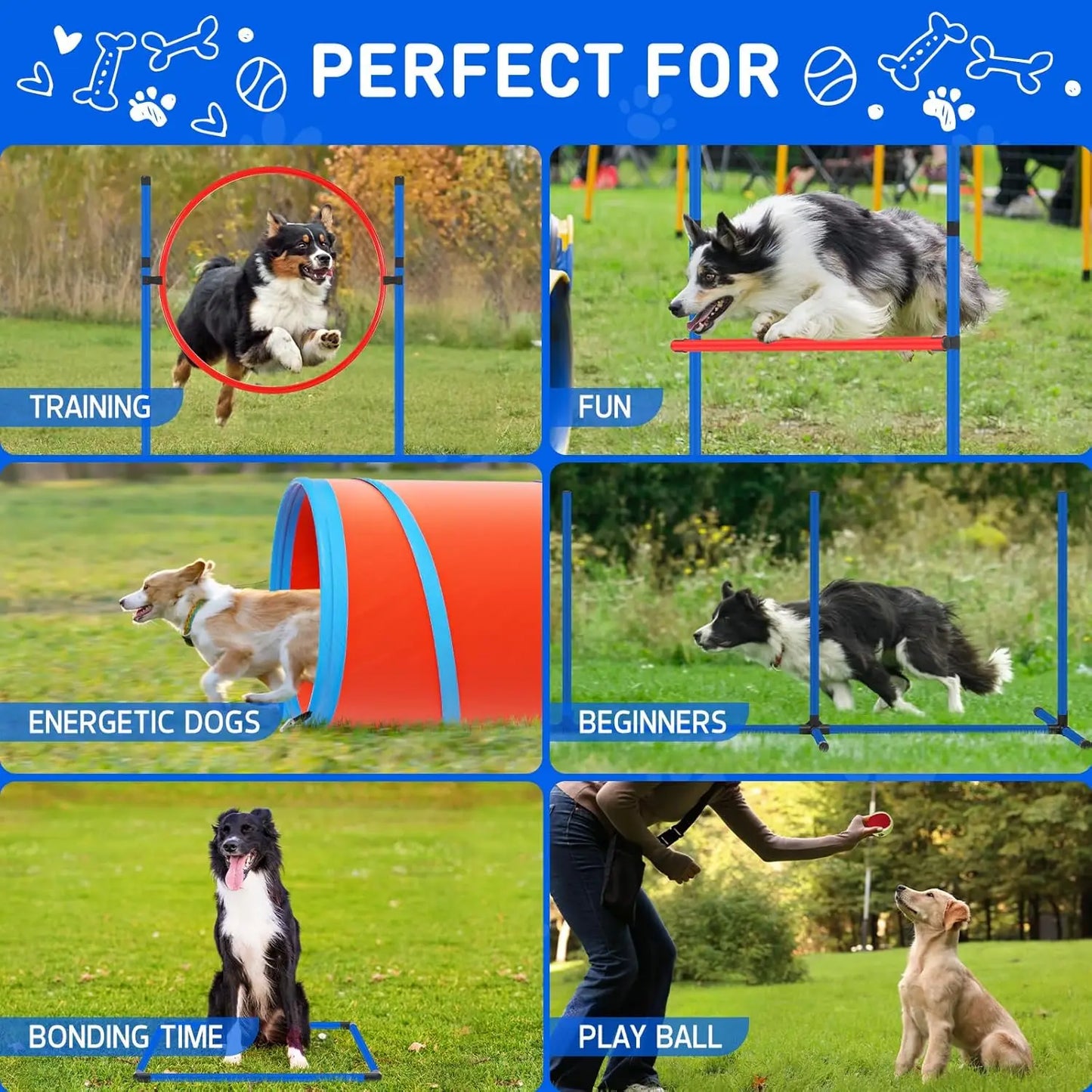 Dog Agility Course Backyard Set Dog Agility Equipment Obstacle Course Backyard Includes Adjustable High Hurdle,6 Weave Poles,