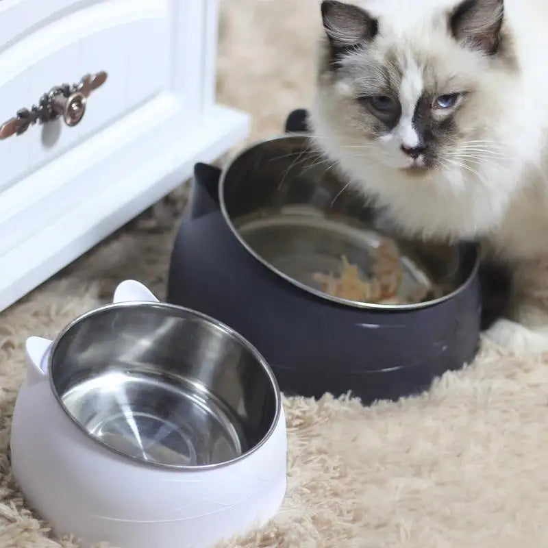 Heat Pet Bowl Food Winter Heated Feed Cage Bowl Thermostat