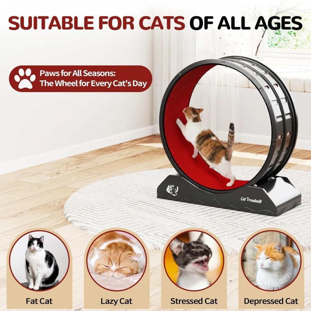 Cat Exercise Wheel Cat Treadmill with Locking Mechanism
