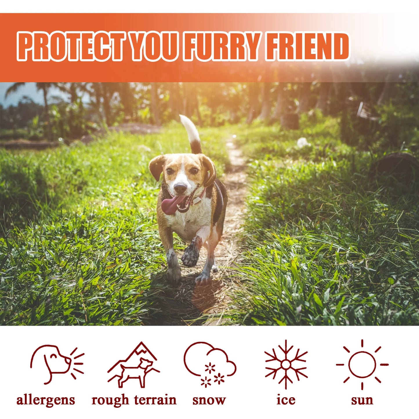 Pet Paw Cream 30g Cat and Dog Paw Protection Cream Moisturizing and Nourishing Natural Ingredients Suitable for Chapped Paws