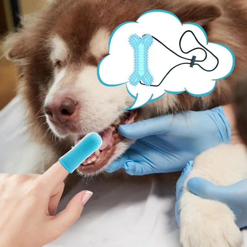 Dog Finger Toothbrush Cat Toothbrush Puppy Tooth Brushing Kit