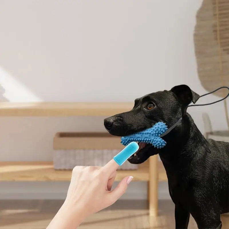Dog Finger Toothbrush Cat Toothbrush Puppy Tooth Brushing Kit