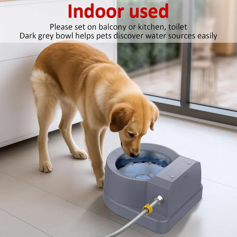 Dog Water Fountain Auto Filling Dog Water Dispenser 3.9L Bowl