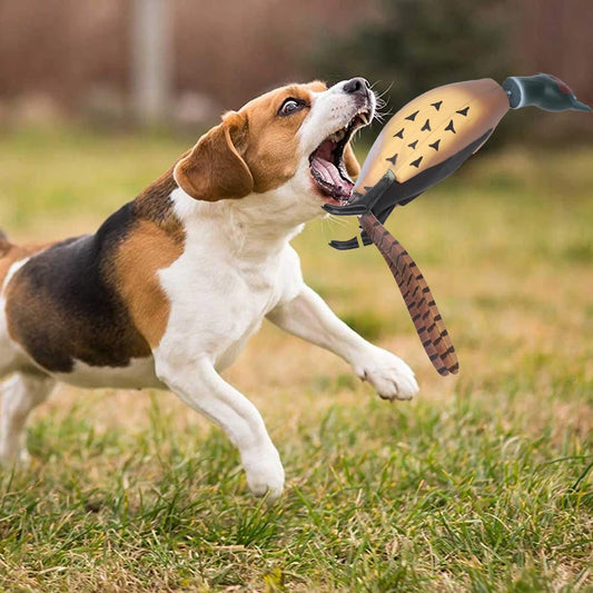 Multipurpose Pet Dead Fowl Fetch Toy for Dog Training